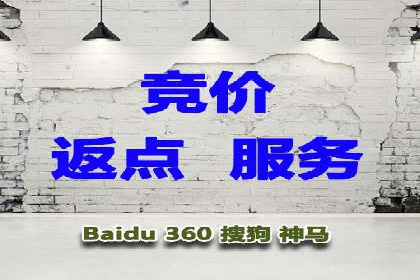 SEM外包策略在电商平台的成功案例